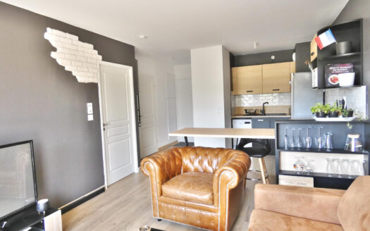 Vente D’un Magnifique Appartement 2 Pièces Au Plessis Robins