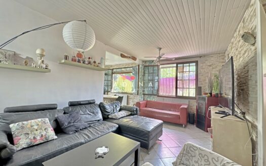 Maison ancienne à vendre, 5 pièces – Le Plessis Robinson 923